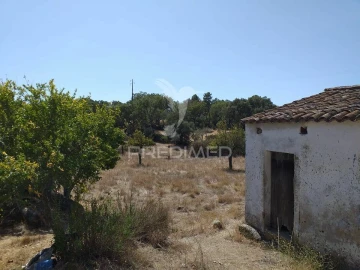 Terreno para Venda em Alagoa