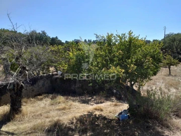 Terreno para Venda em Alagoa