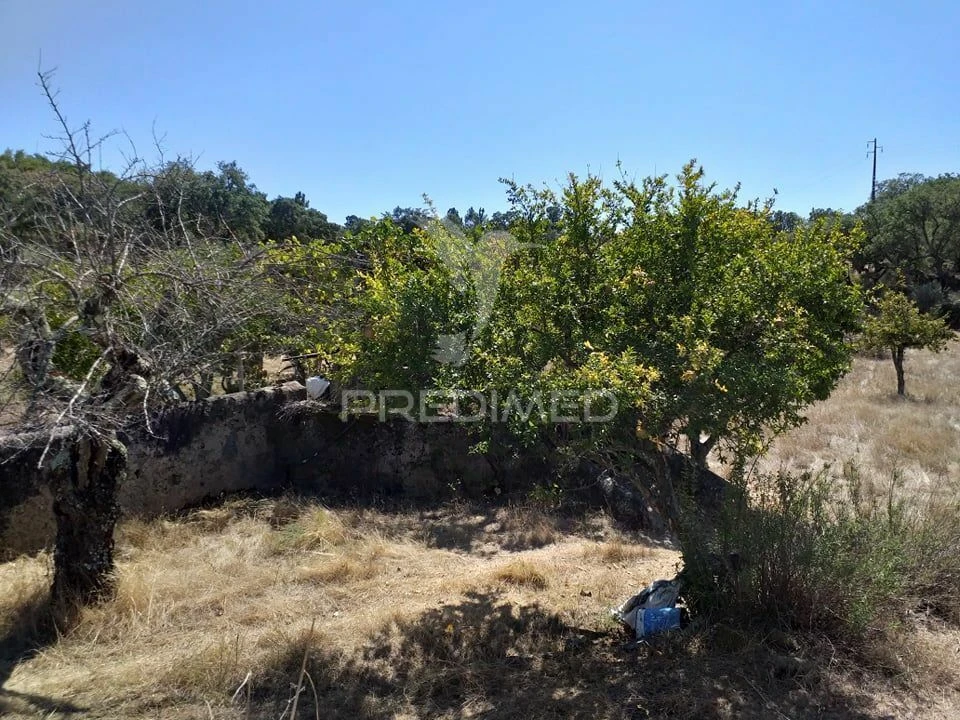 Terreno para Venda em Alagoa Foto 8