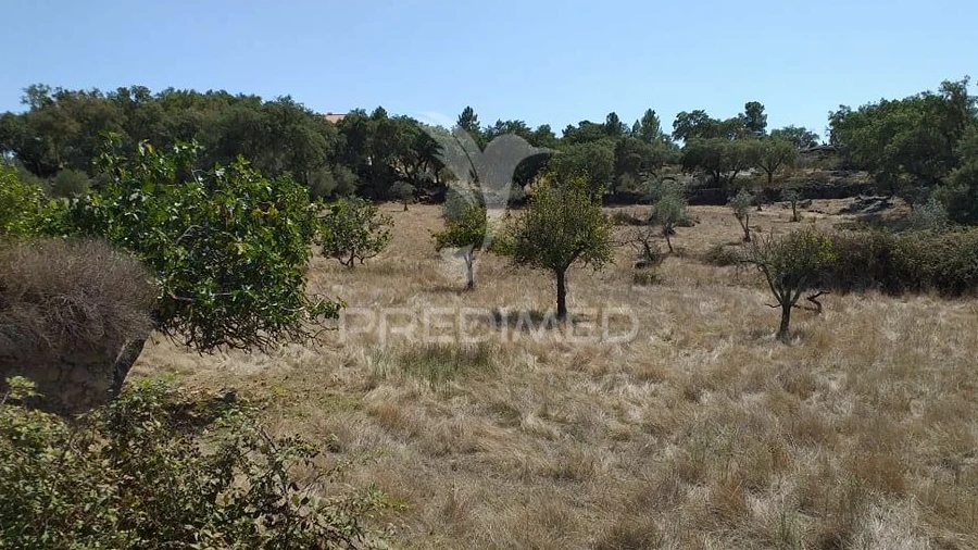 Terreno para Venda em Alagoa