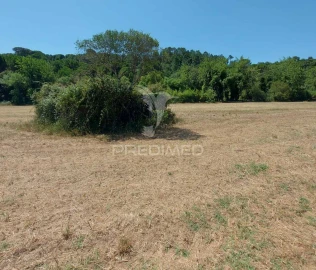 Terreno para Venda em Pernes