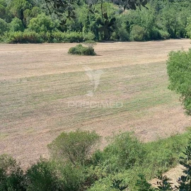Terreno para Venda em Pernes