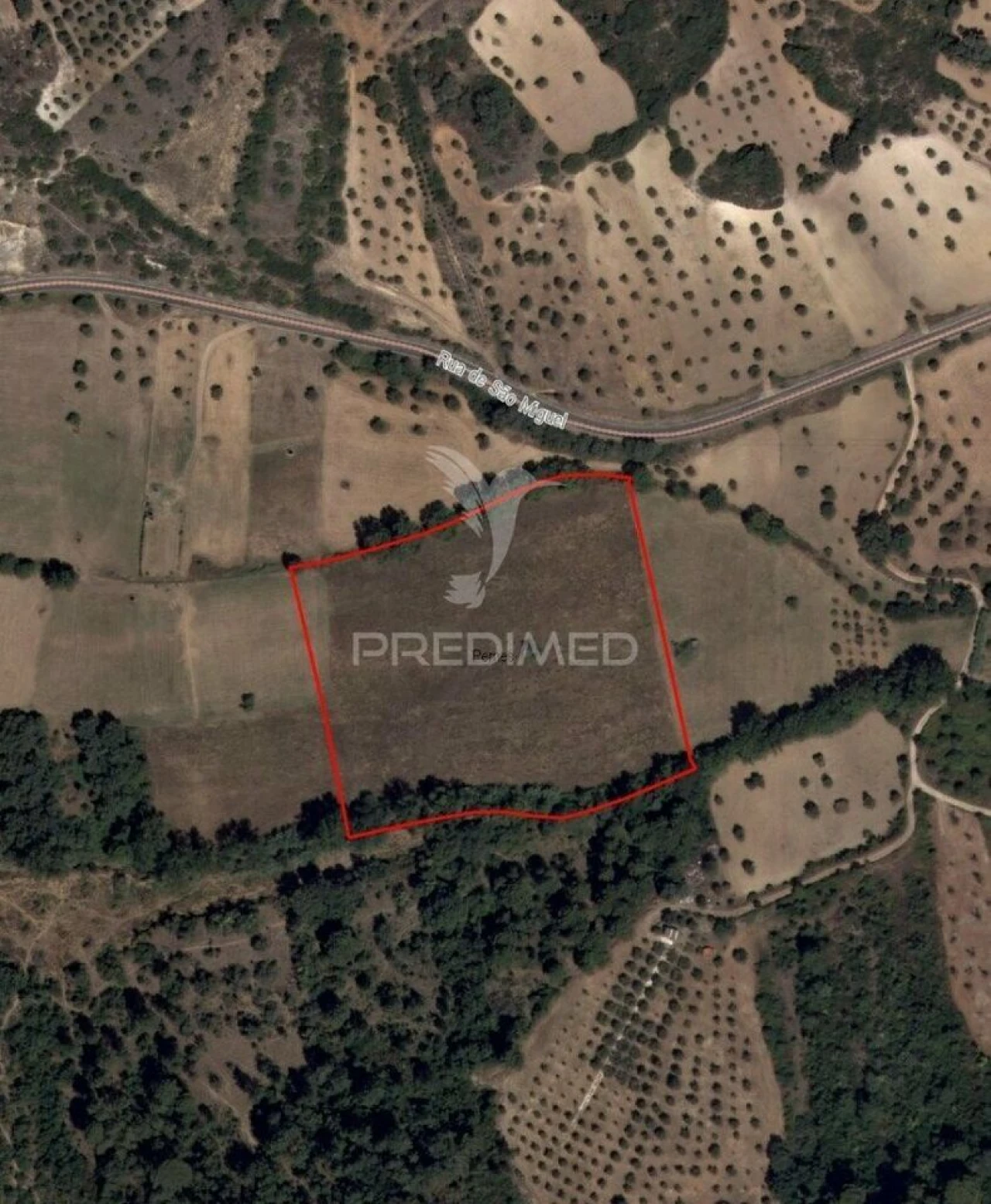 Terreno para Venda em Pernes Foto 12
