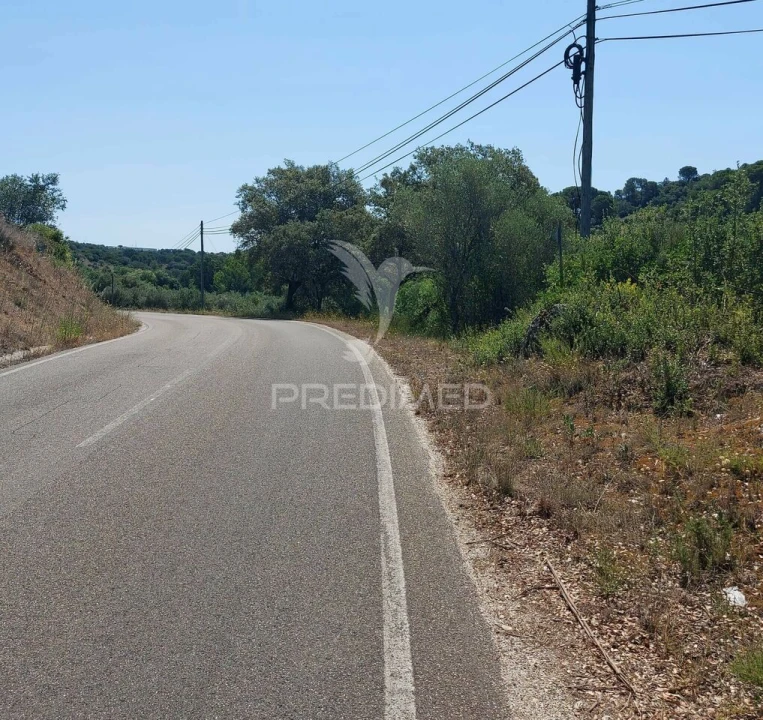 Terreno para Venda em Pernes Foto 11