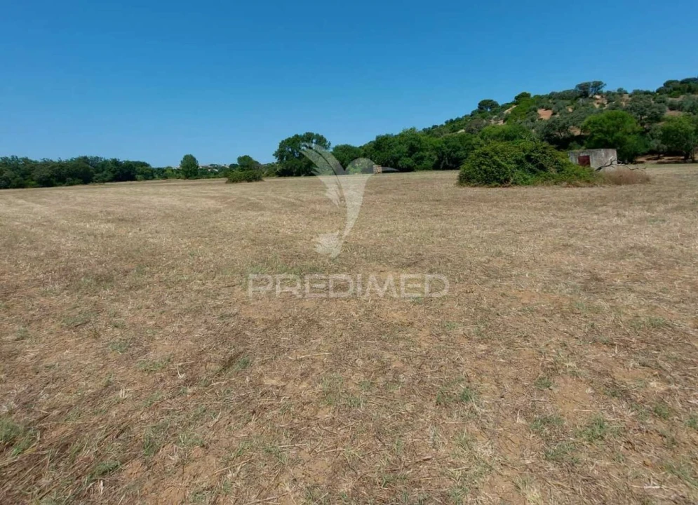 Terreno para Venda em Pernes Foto 6