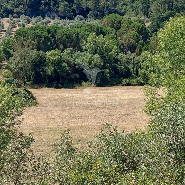 Terreno para Venda em Pernes Foto 9