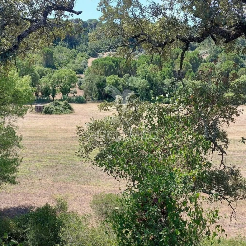 Terreno para Venda em Pernes Foto 10