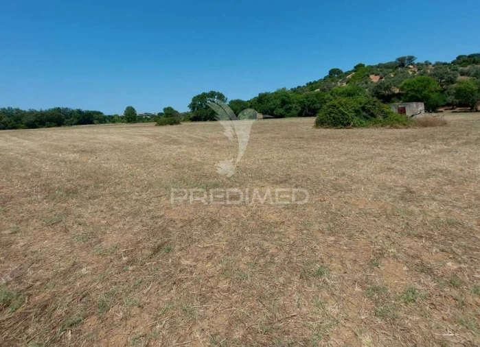 Terreno para Venda em Pernes Foto 6
