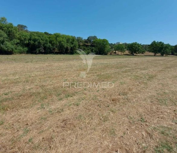 Terreno para Venda em Pernes Foto 7