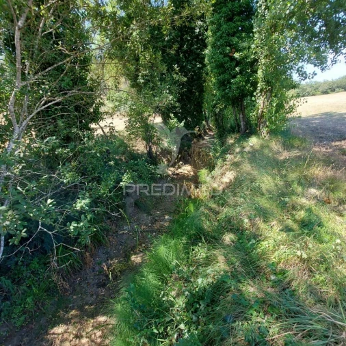 Terreno para Venda em Pernes Foto 3