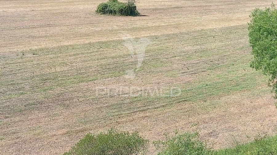 Terreno para Venda em Pernes