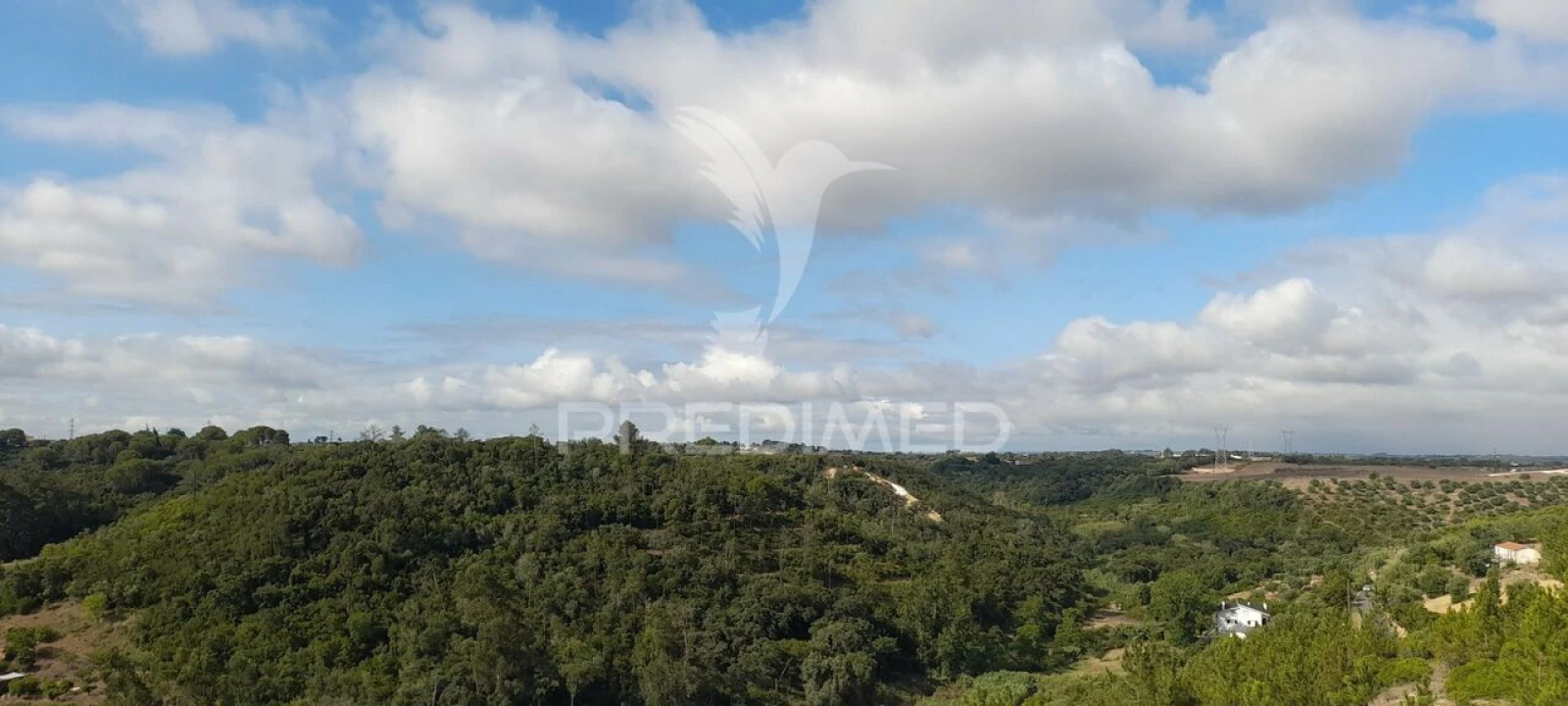 Terreno para Venda em Almoster Foto 6