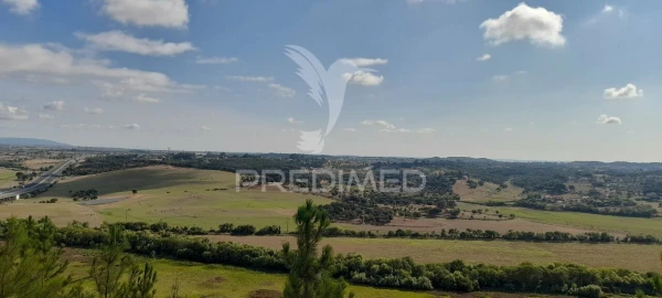 Terreno para Venda em Almoster