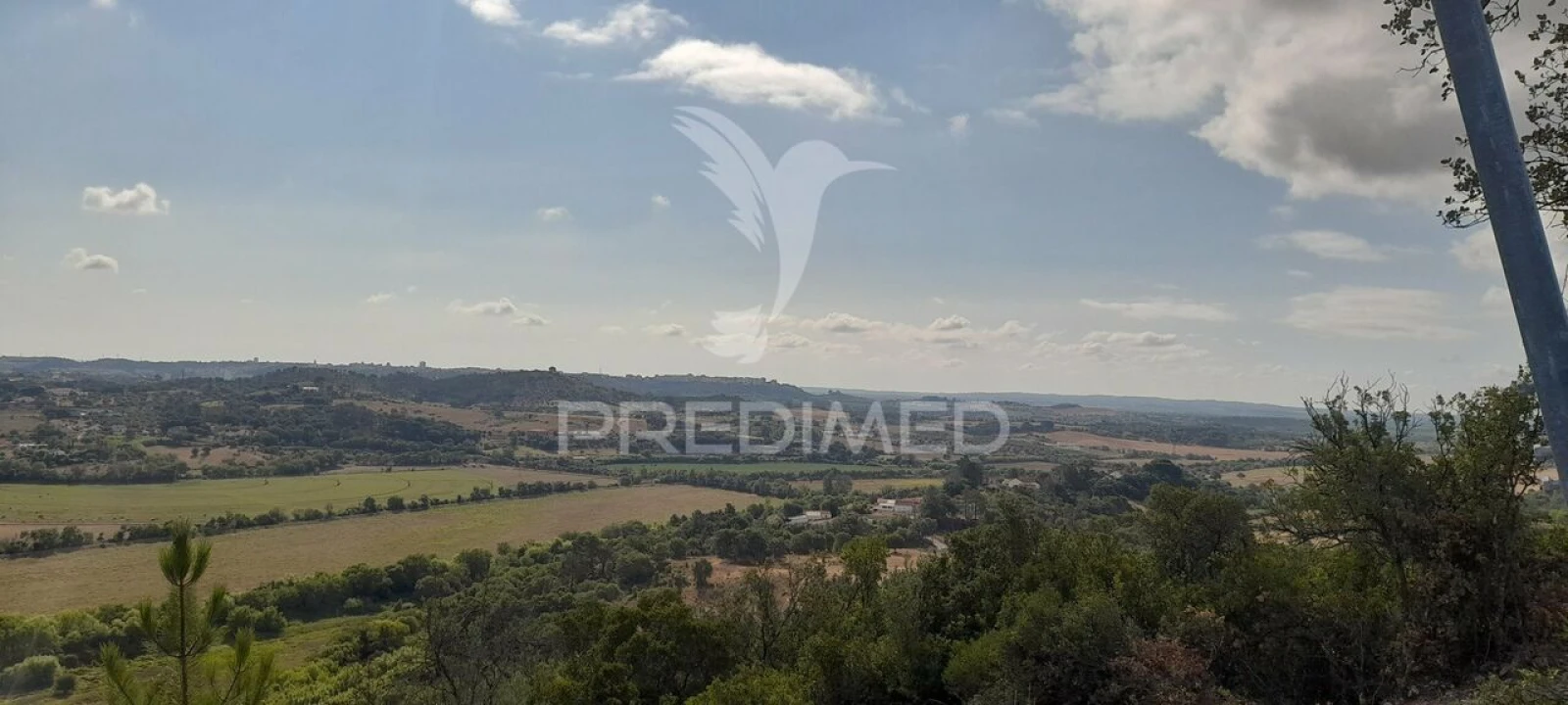 Terreno para Venda em Almoster Foto 10