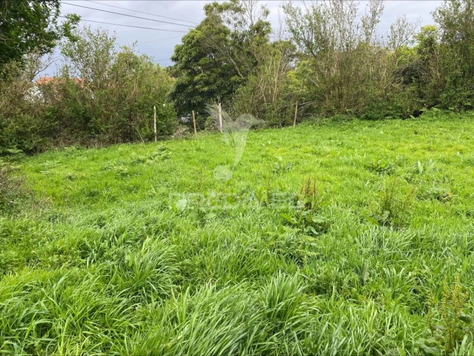 Terreno para Venda em Norte Grande (Neves) Foto 4
