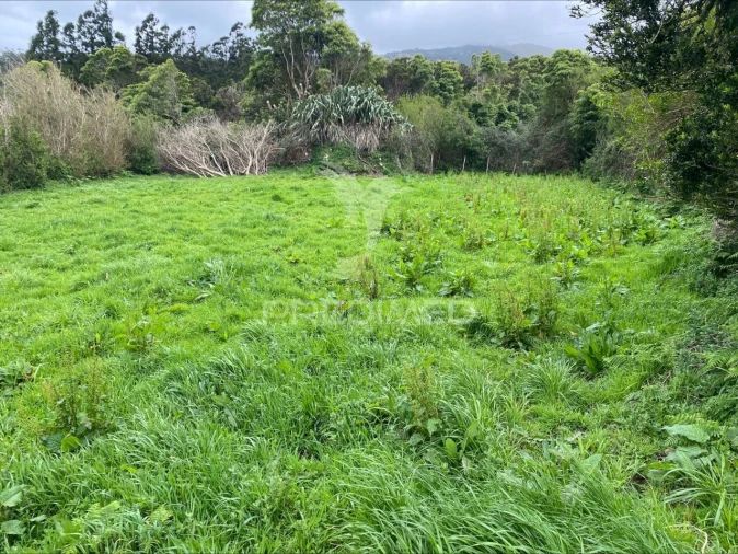 Terreno para Venda em Norte Grande (Neves) Foto 15