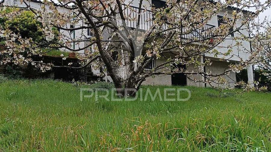 Moradia T2 para Venda em Penajoia