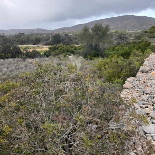 Terreno para Venda em Quelfes Foto 10