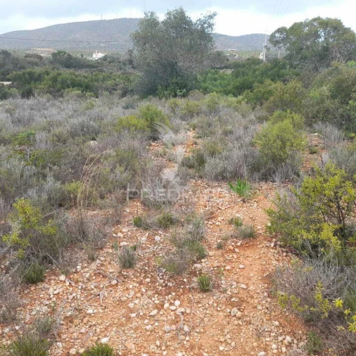 Terreno para Venda em Quelfes Foto 8