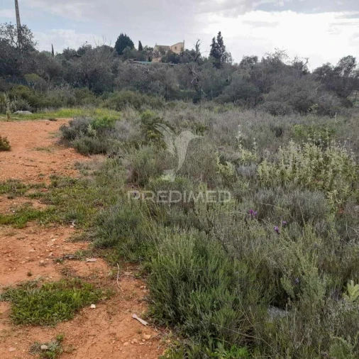 Terreno para Venda em Quelfes Foto 2