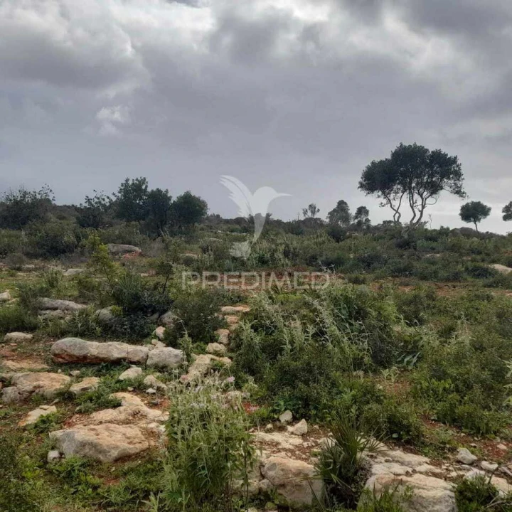 Terreno para Venda em Quelfes Foto 4
