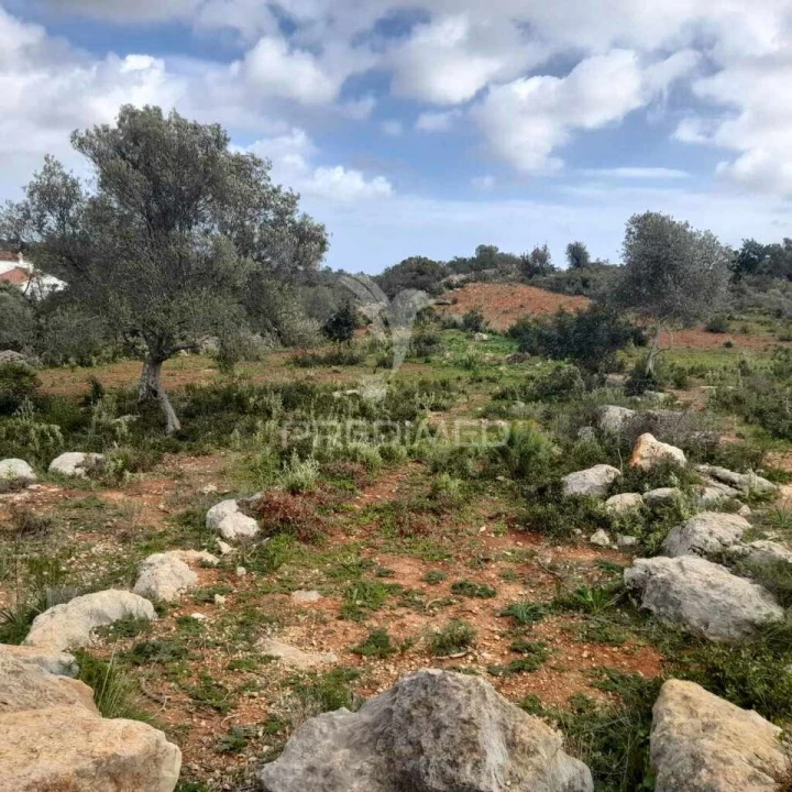 Terreno para Venda em Quelfes Foto 9
