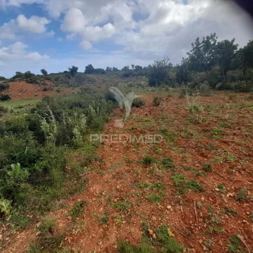 Terreno para Venda em Quelfes Foto 3