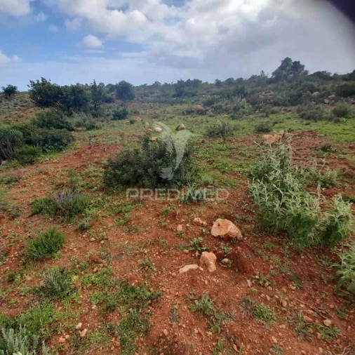 Terreno para Venda em Quelfes Foto 7