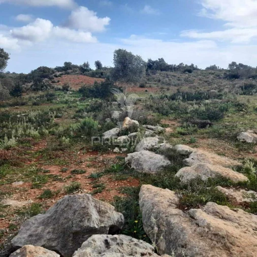 Terreno para Venda em Quelfes Foto 8