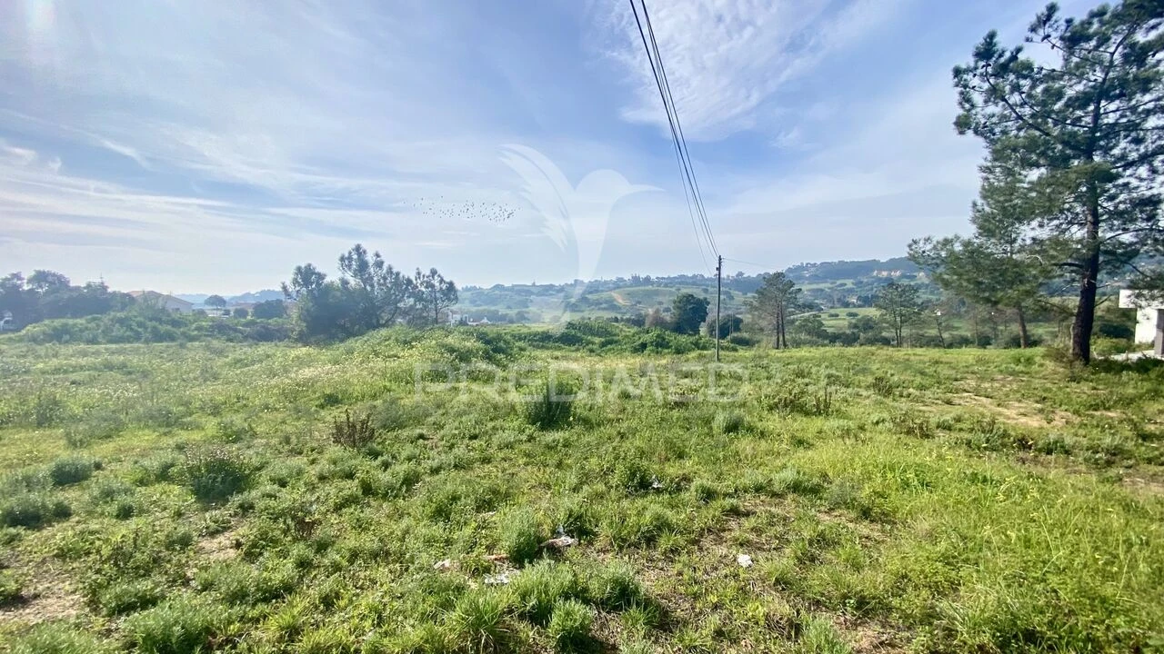 Terreno para Venda em Azambuja Foto 9