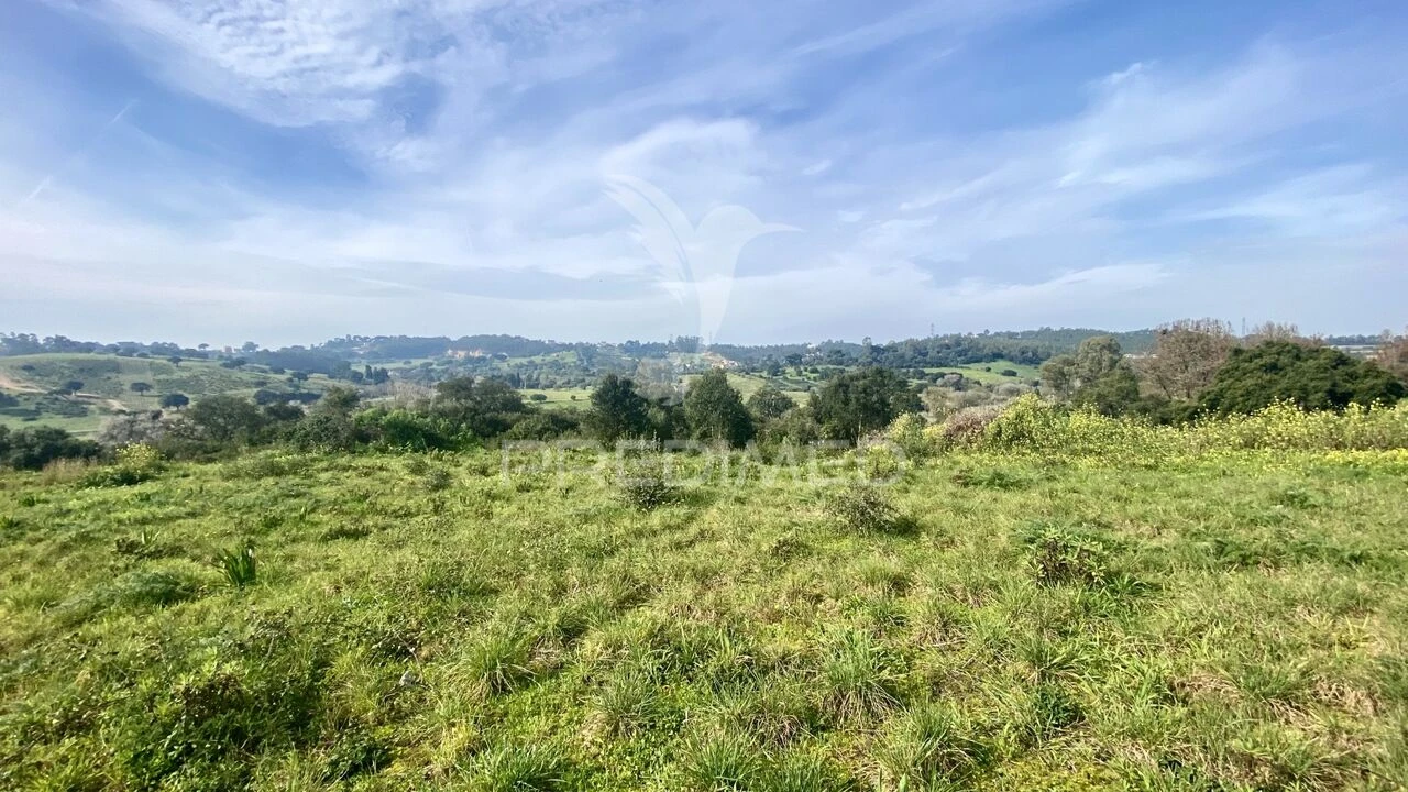 Terreno para Venda em Azambuja Foto 14