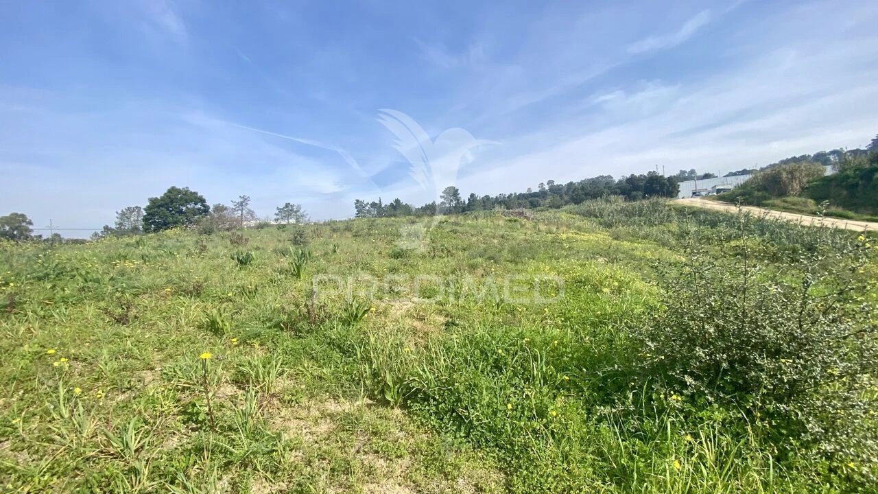 Terreno para Venda em Azambuja Foto 15