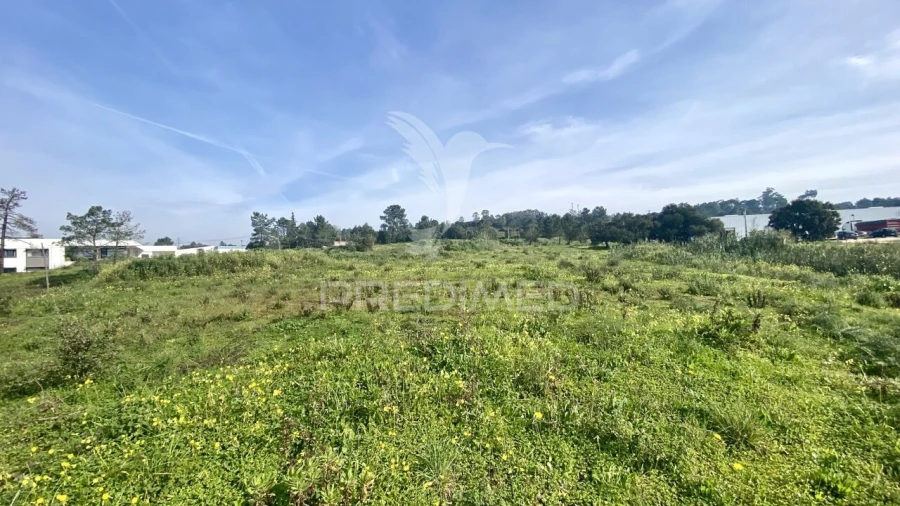 Terreno para Venda em Azambuja Foto 12