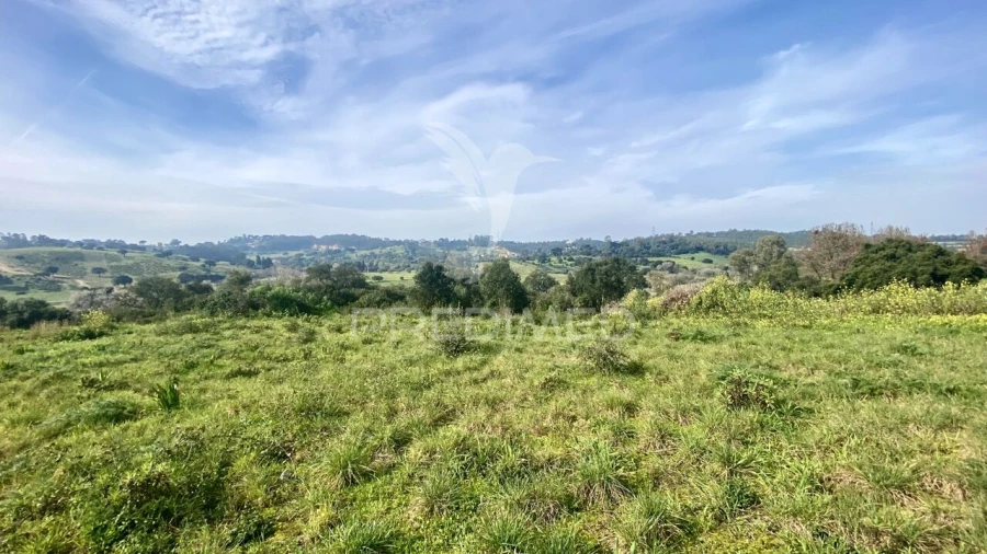 Terreno para Venda em Azambuja Foto 14