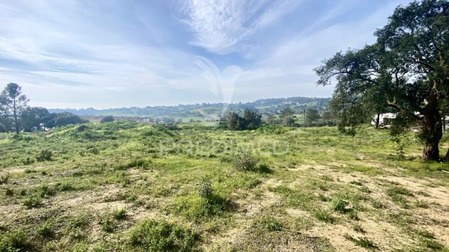 Terreno para Venda em Azambuja Foto 6