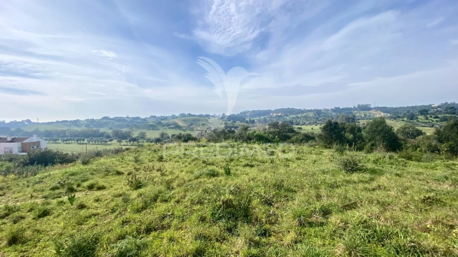 Terreno para Venda em Azambuja Foto 13