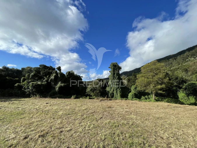 Terreno para Venda em Urzelina (São Mateus) Foto 3