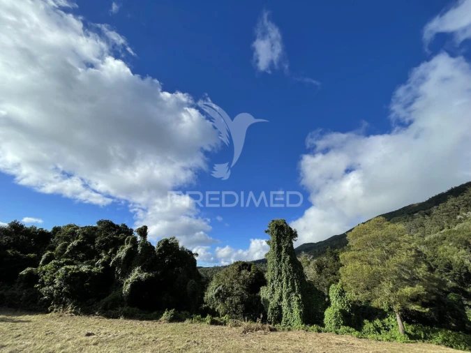 Terreno para Venda em Urzelina (São Mateus) Foto 4