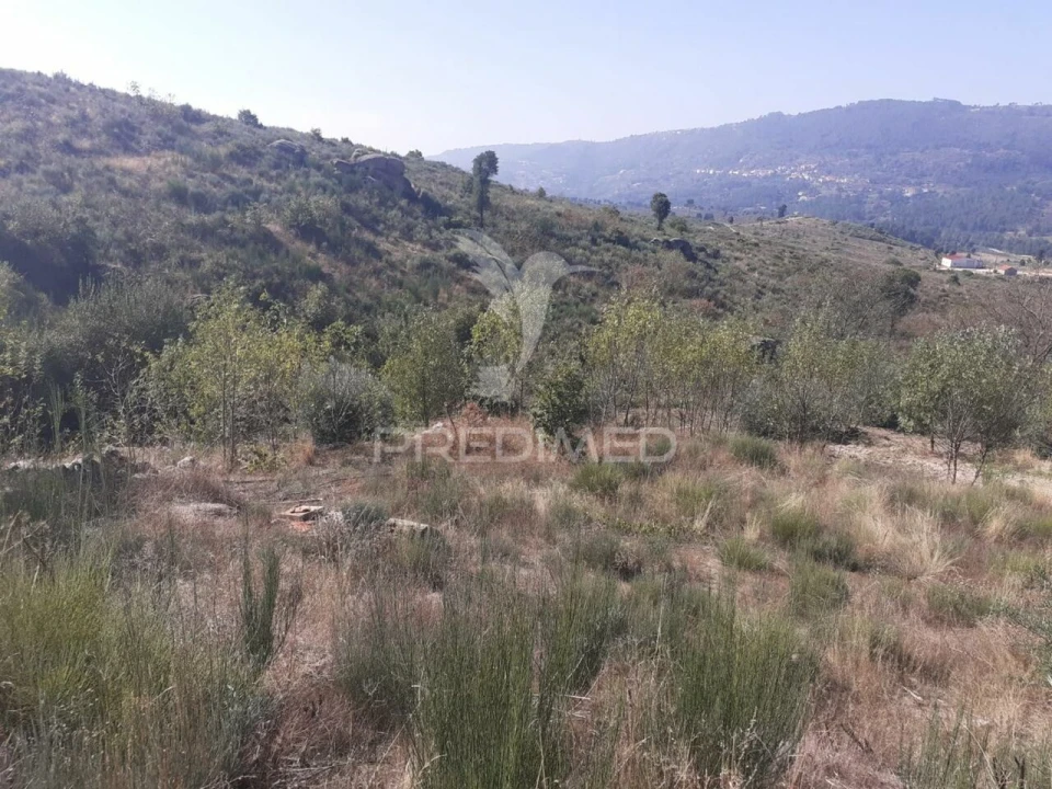 Quinta T0 para Venda em Aldeia Nova Foto 13