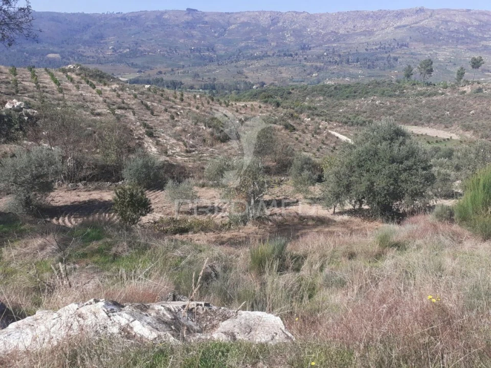 Quinta T0 para Venda em Aldeia Nova Foto 15