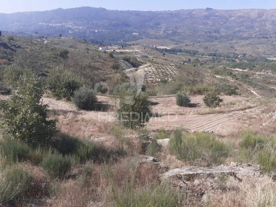 Quinta T0 para Venda em Aldeia Nova Foto 11