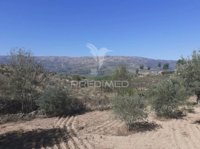 Quinta T0 para Venda em Aldeia Nova Foto 20