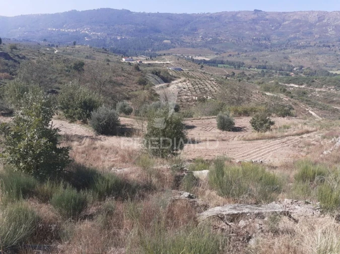 Quinta T0 para Venda em Aldeia Nova Foto 11