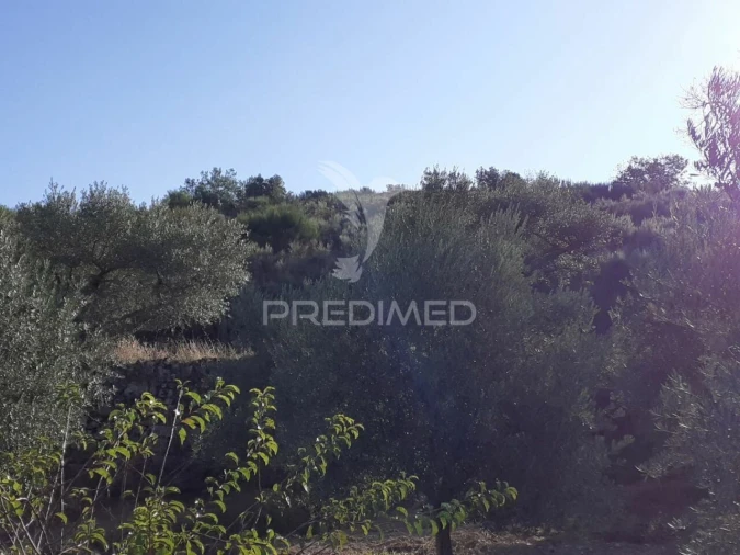 Quinta T0 para Venda em Aldeia Nova Foto 24