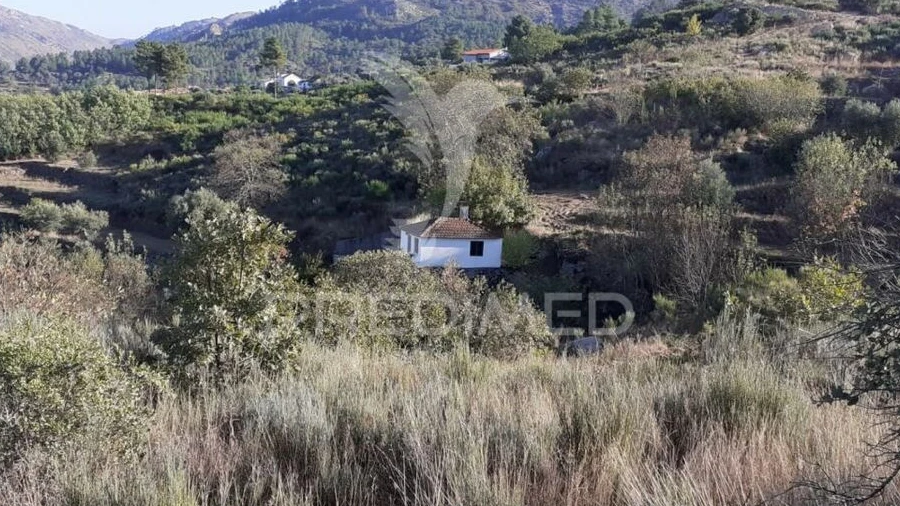 Quinta T0 para Venda em Aldeia Nova