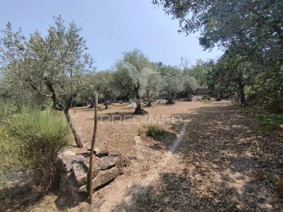 Terreno para Venda em Santa Maria da Devesa Foto 10