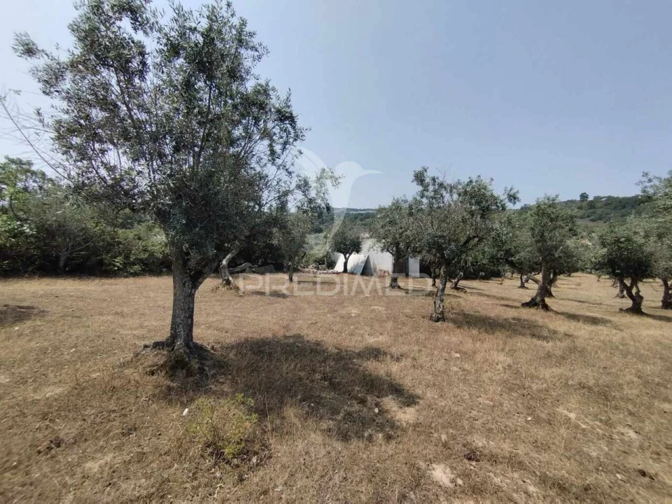 Terreno para Venda em Santa Maria da Devesa Foto 1