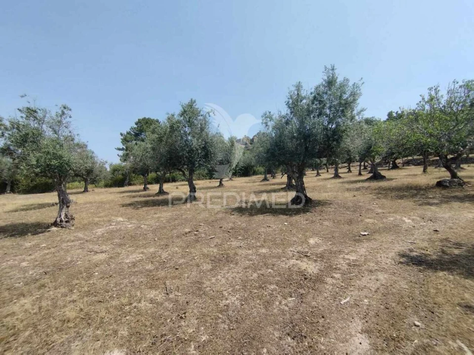 Terreno para Venda em Santa Maria da Devesa Foto 8