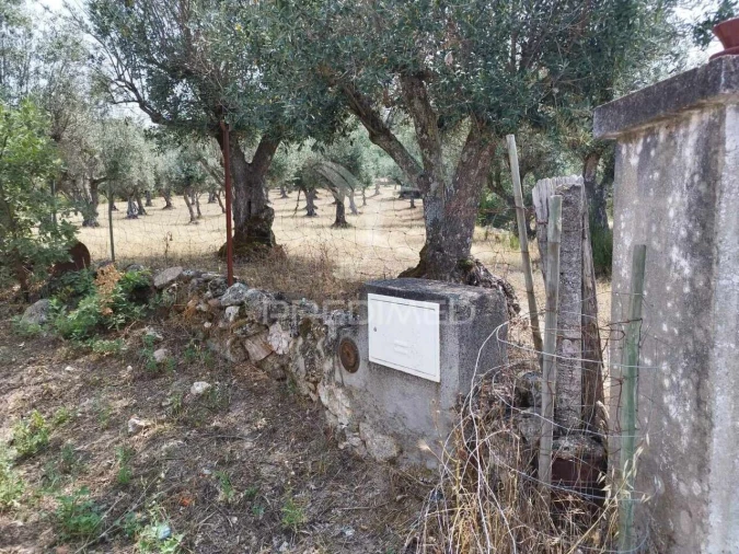 Terreno para Venda em Santa Maria da Devesa Foto 11