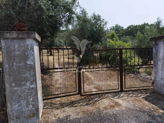 Terreno para Venda em Santa Maria da Devesa Foto 9